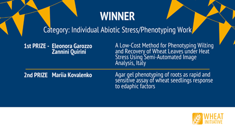 Wheat initiative prize
