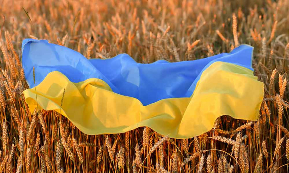 Ukrainska mova za profesiinym spriamuvanniam